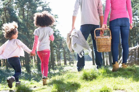 Family Dynamics Report: Understanding Your Ancestral Ties