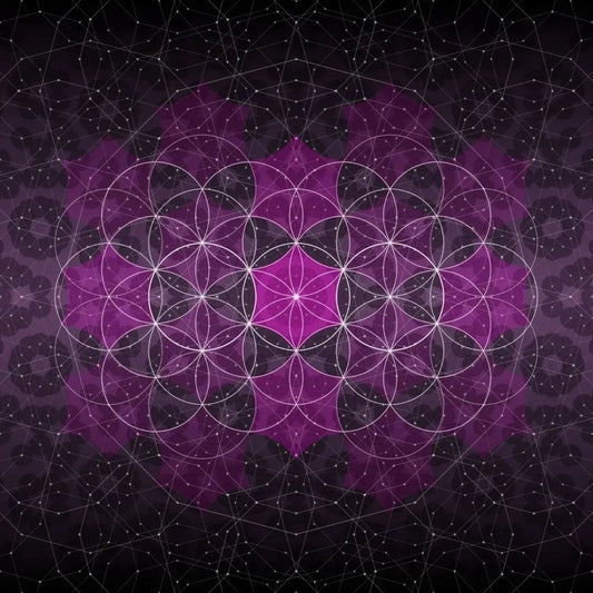 ✦ Ascension Mandala Collection (Bundle) ✦