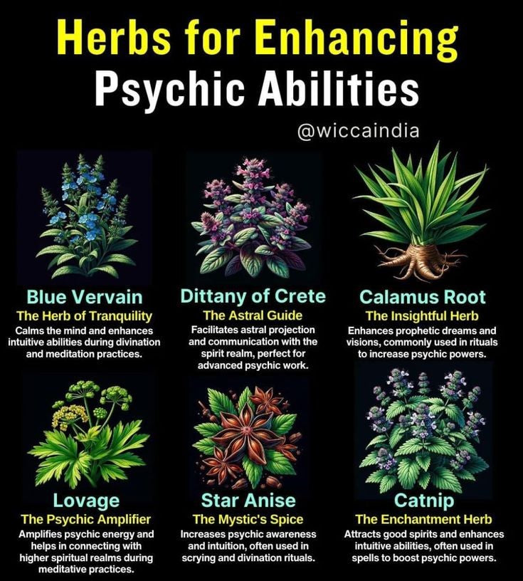 Custom Herbal Remedy or Essential Oil Blend