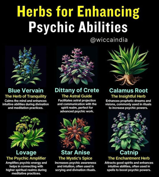 Custom Herbal Remedy or Essential Oil Blend